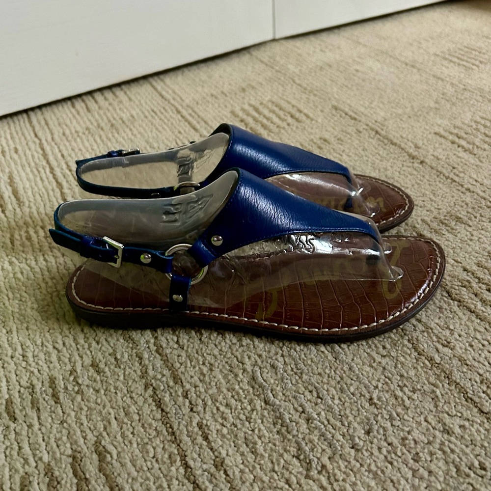 Blue and Brown Sam Edelman Sandals